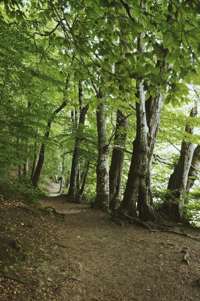 hiking