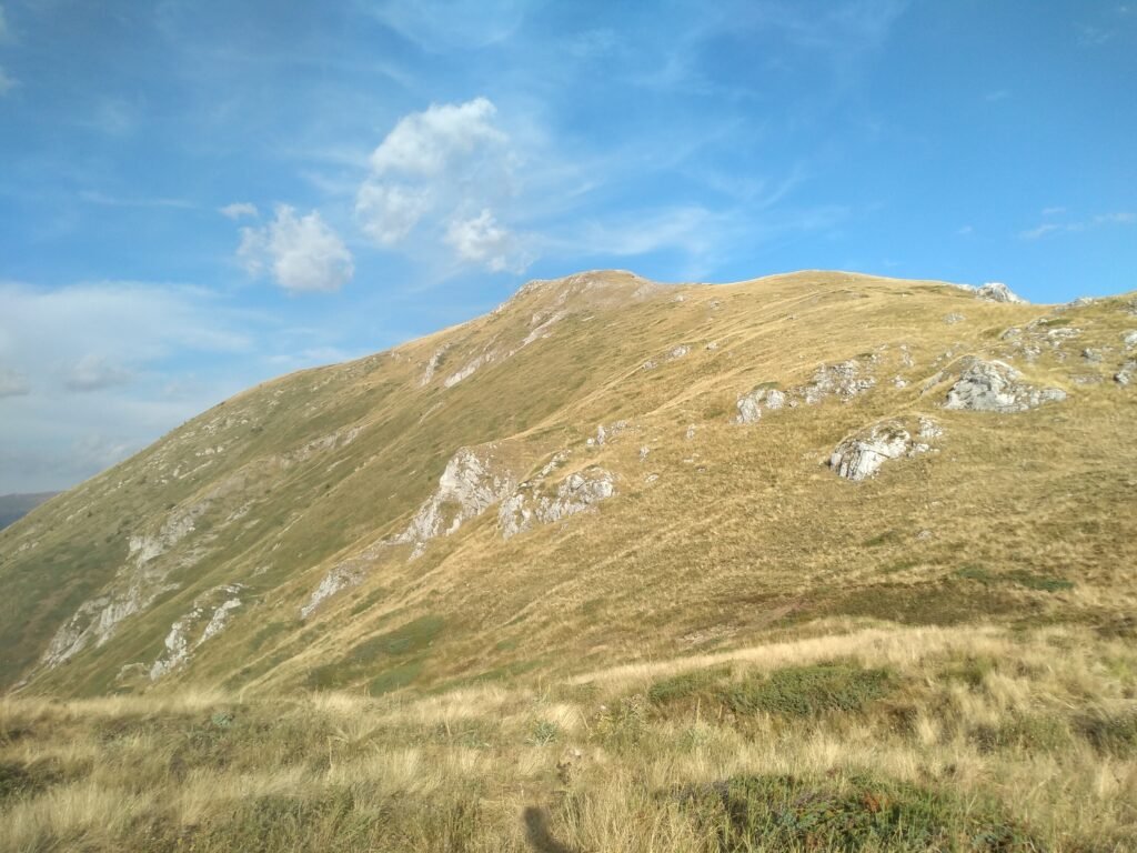 kozuf