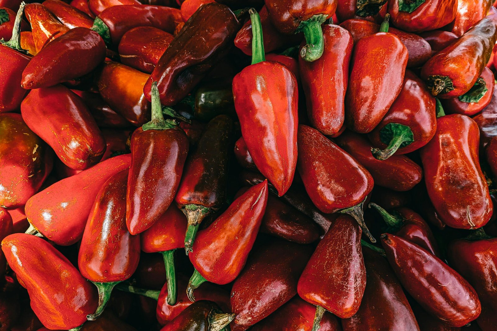 Ajvar in Macedonia: The Traditional Red Pepper Spread You Must Try