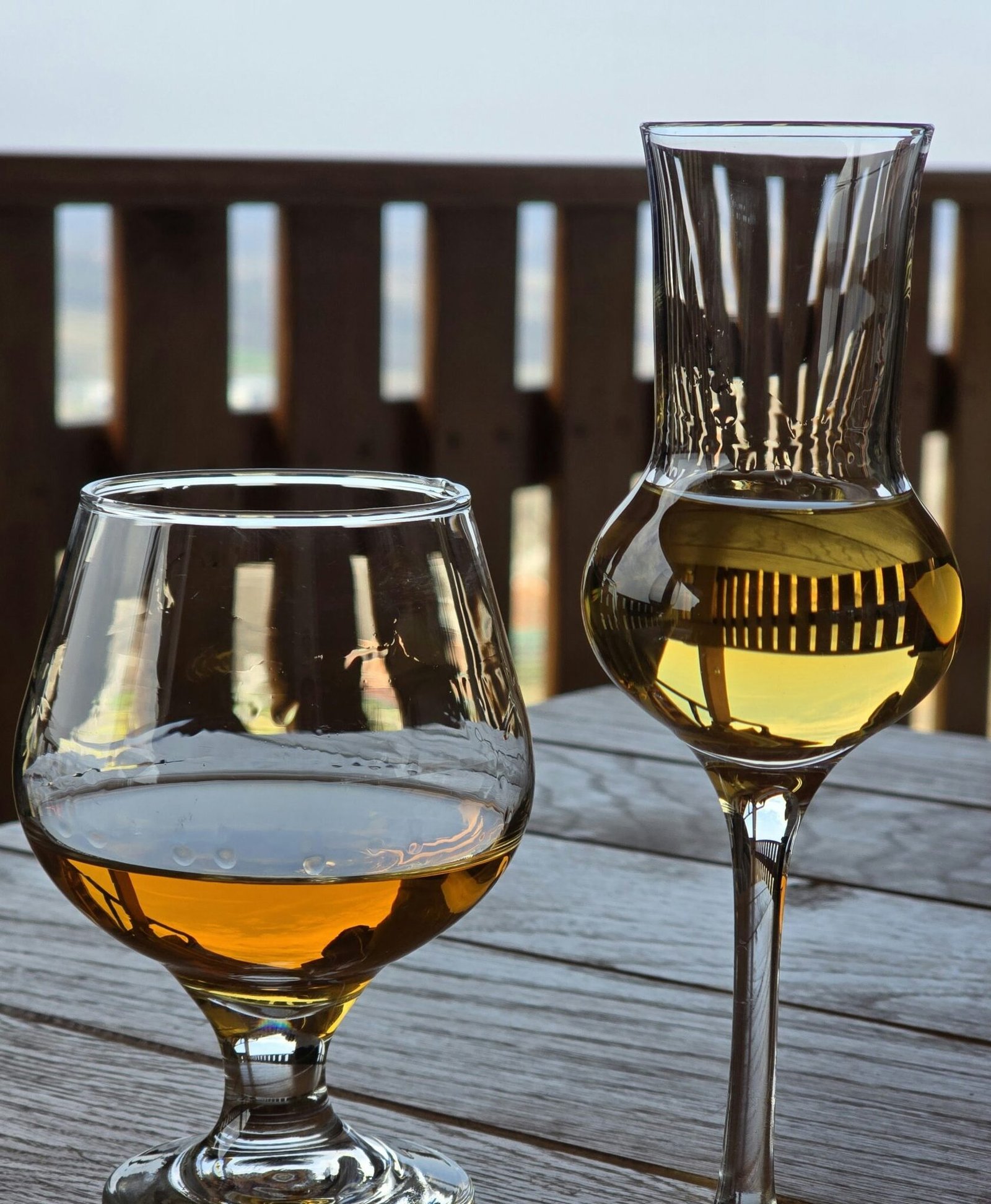 Rakija Guide: What It Is and How to Drink It